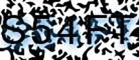 grafischer Sicherheitscode