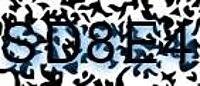 grafischer Sicherheitscode