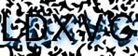 grafischer Sicherheitscode