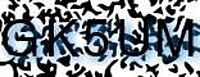 grafischer Sicherheitscode