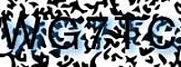 grafischer Sicherheitscode