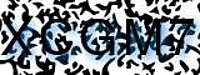 grafischer Sicherheitscode